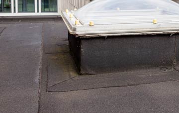 disadvantages of Dunnamanagh flat roofs