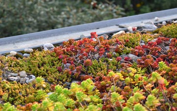 the cost of Dunnamanagh green roof installation