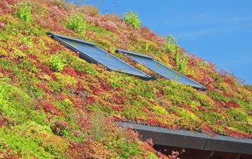 Dunnamanagh living roof systems