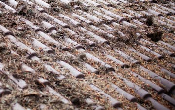 Dunnamanagh roof cleaning companies