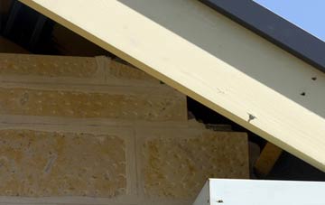 soffit repair Dunnamanagh