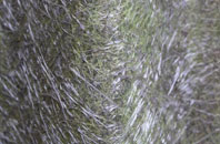 Dunnamanagh fibreglass roof work