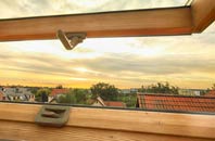 rated Dunnamanagh roof window companies